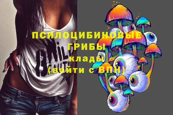 соль курить ск Алексеевка