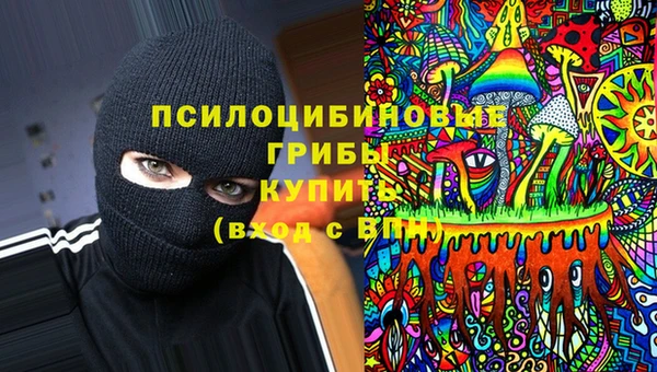 соль курить ск Алексеевка