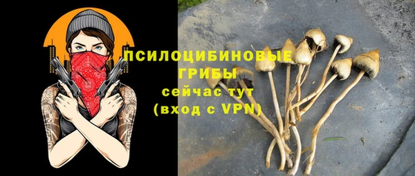 спайс Алексин