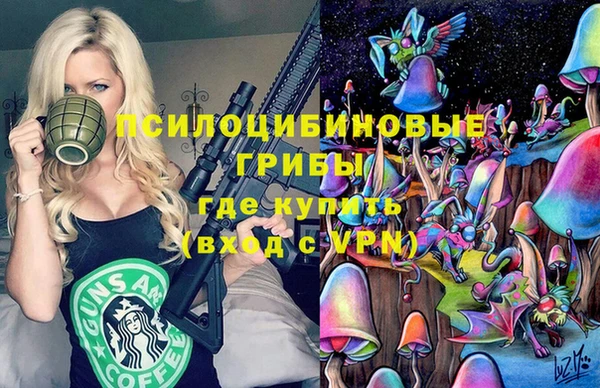 спиды Алзамай
