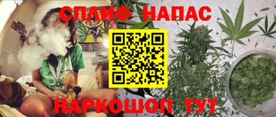 прущие крисы Жуковский