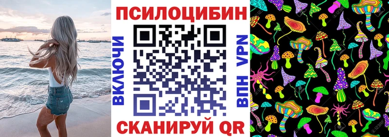 omg как зайти  Петропавловск-Камчатский  дарк нет Telegram  Псилоцибиновые грибы Psilocybe 